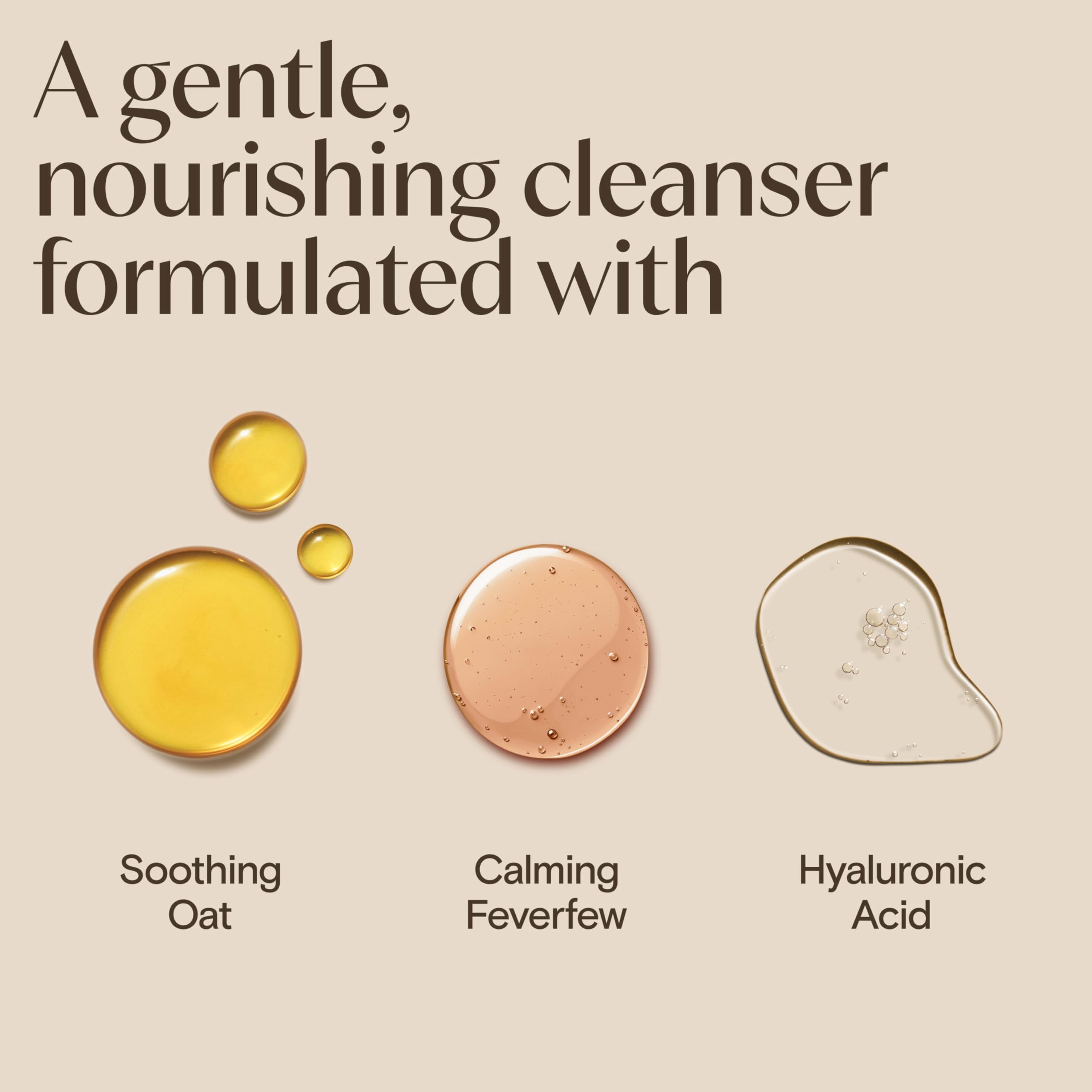 Aveeno Calm + Restore label close-up highlighting oat, feverfew and hyaluronic acid.