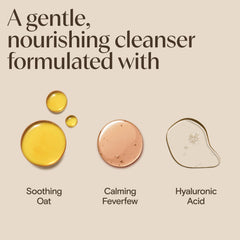 Aveeno Calm + Restore label close-up highlighting oat, feverfew and hyaluronic acid.