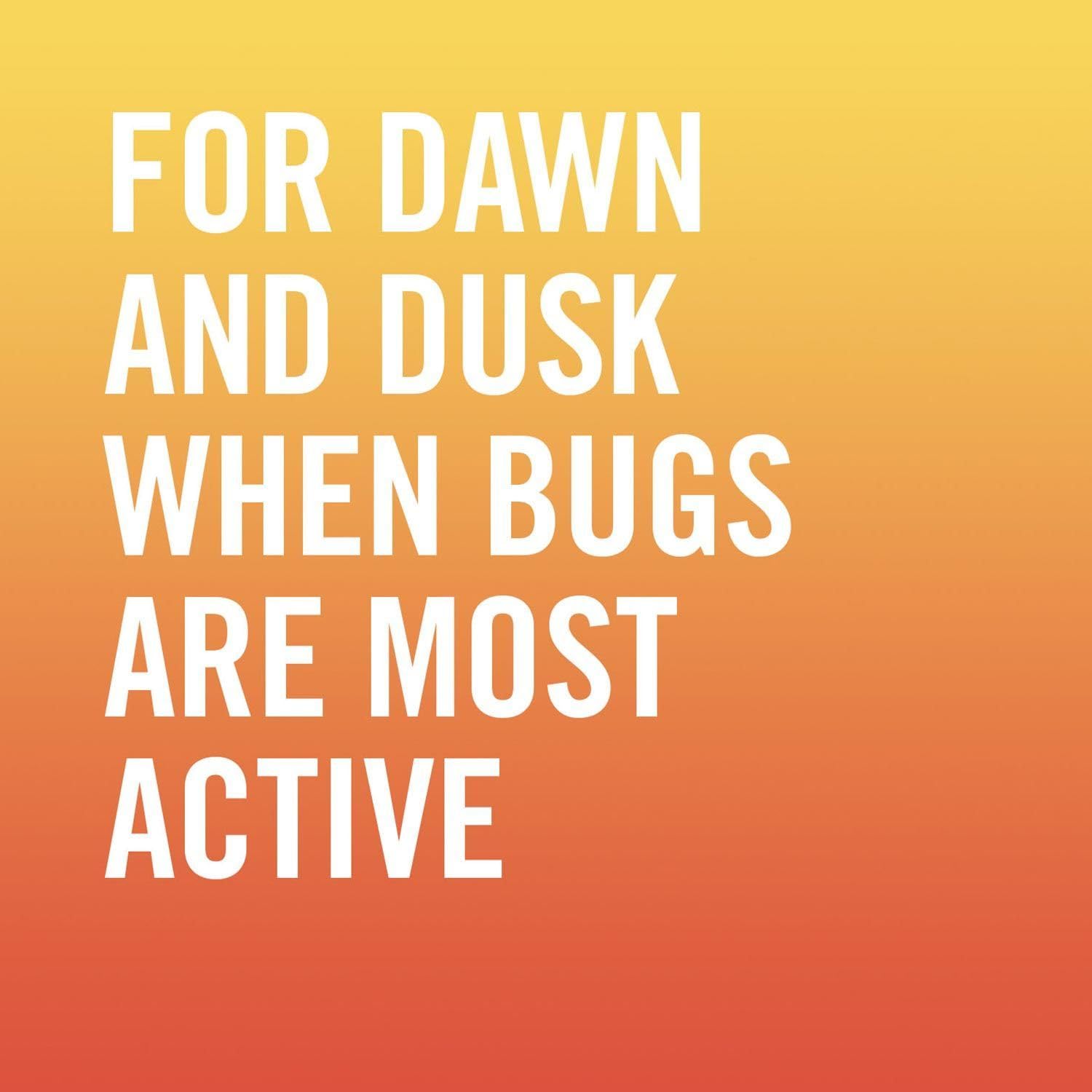 AVON Skin So Soft Bug Guard travel-ready wipes fit in purses and carry-ons