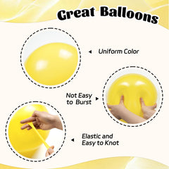 Awenztech white balloons 12inch for clean photo backdrop.