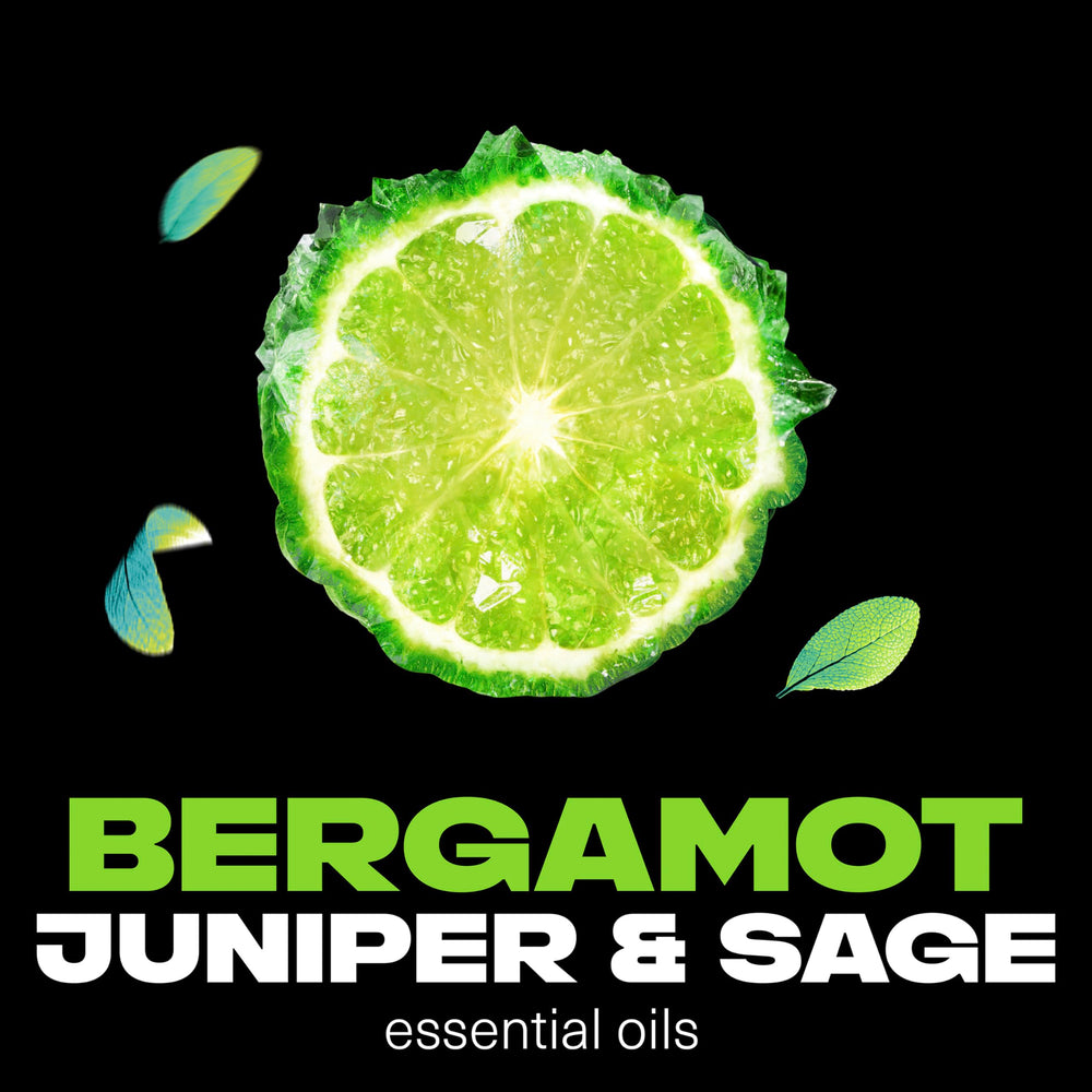 AXE Aqua Bergamot deodorant mist showing essential oils infusion