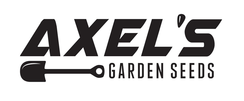 Axel's Garden Seeds backyard garden setup featuring tall sunflowers.