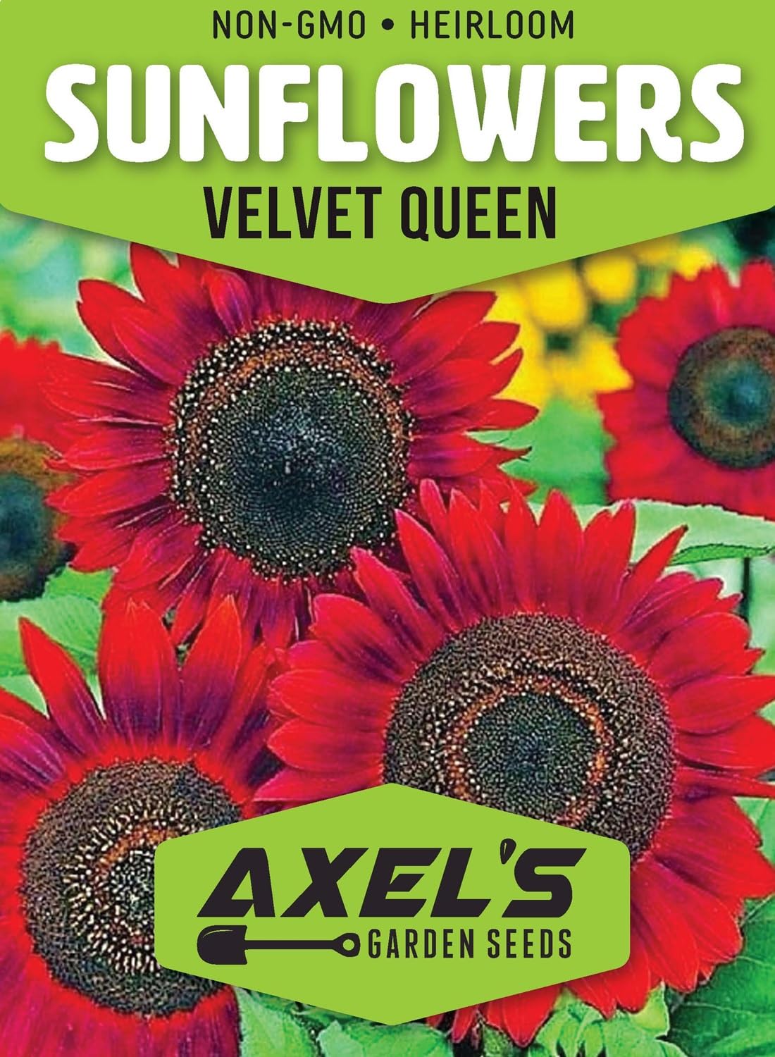 Axel's Garden Seeds red sunflower seed packet for easy direct sowing in home gardens.