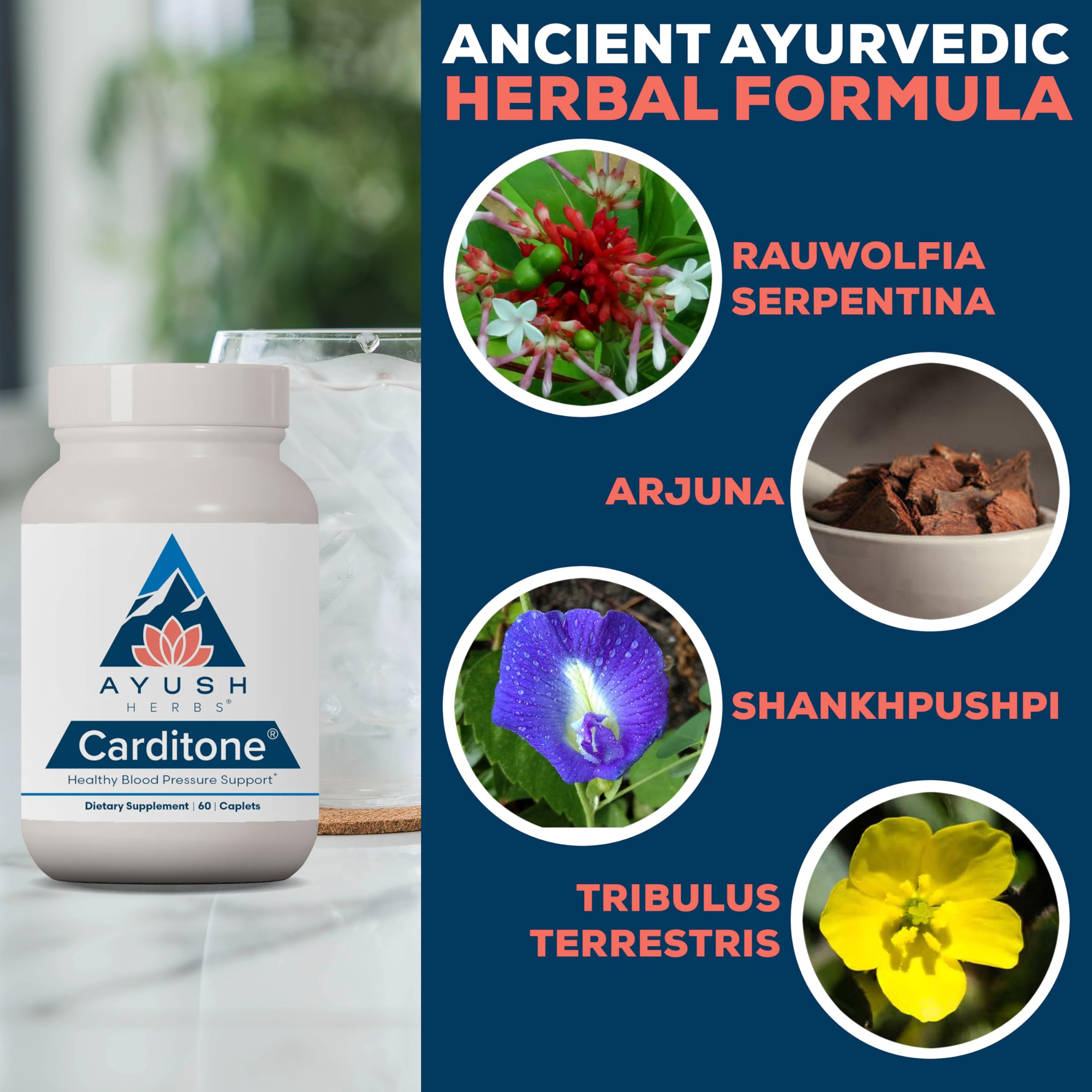 Ayush Herbs Carditone packaging with herbal imagery signaling natural wellness.