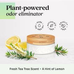12 oz refill of tea tree gel for extended odor elimination.