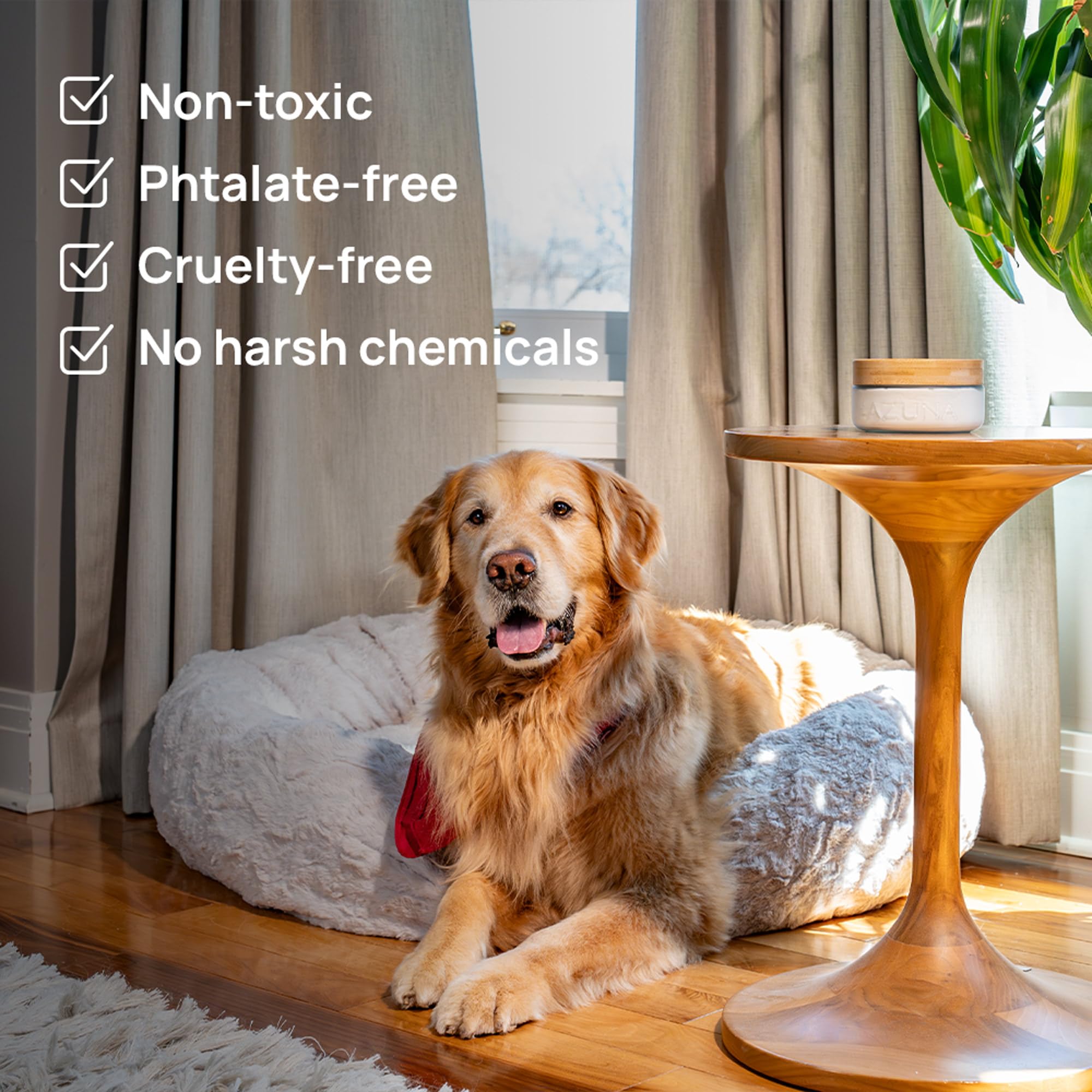 Azuna non-toxic, pet-friendly air freshener used in a home.