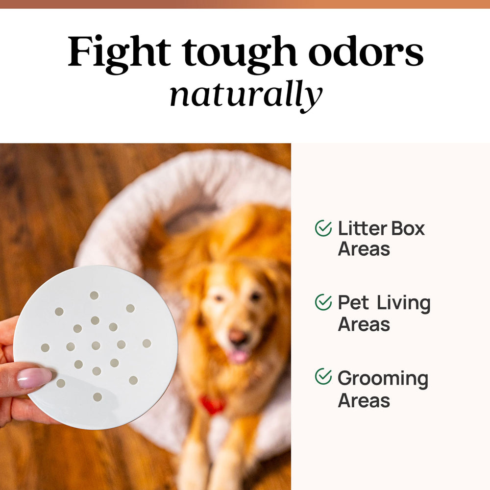 Azuna Pet Odor Eliminator 8oz Pod, lid closed, safe setup for homes with pets.