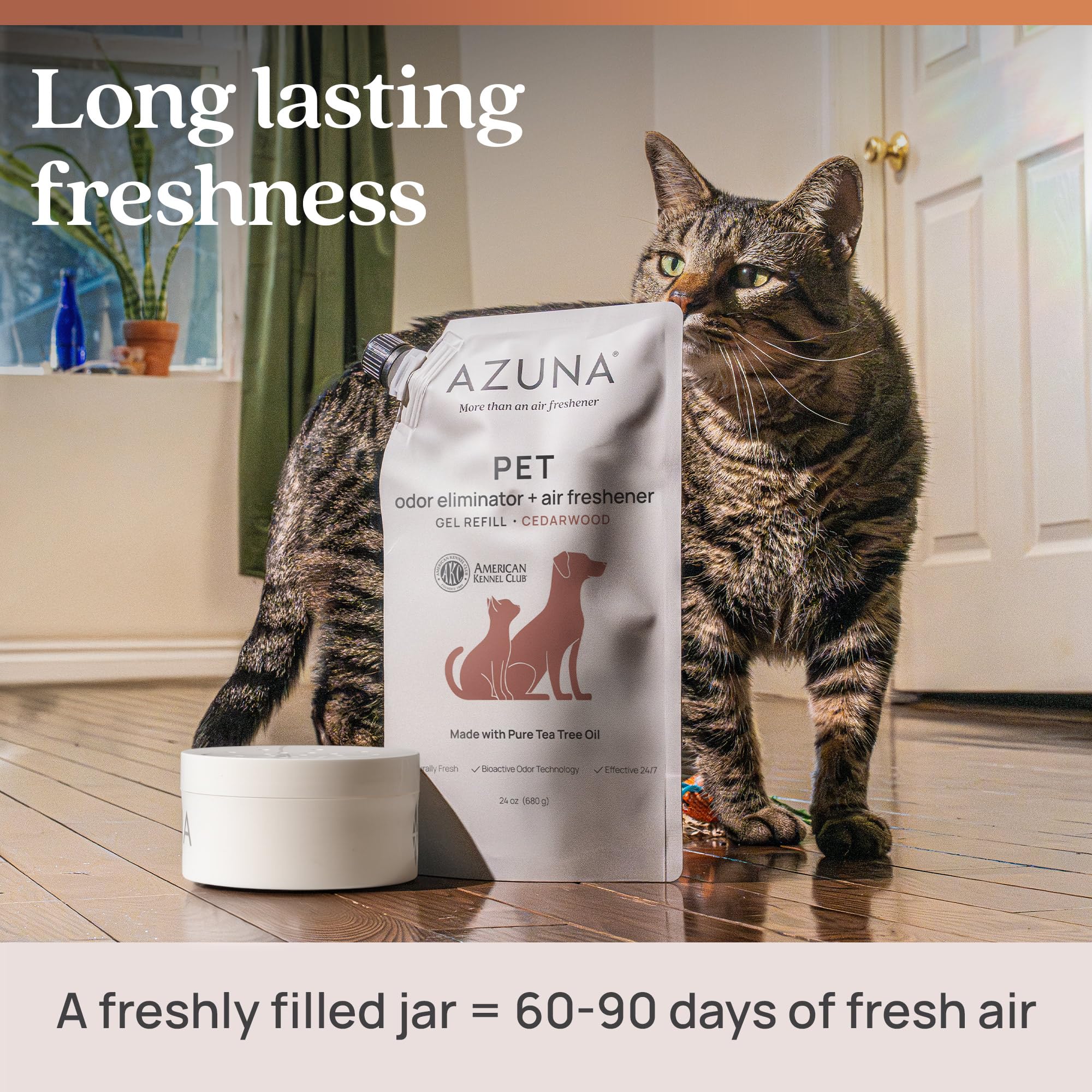 Azuna in dog bed area delivering calm air and reduced odors.
