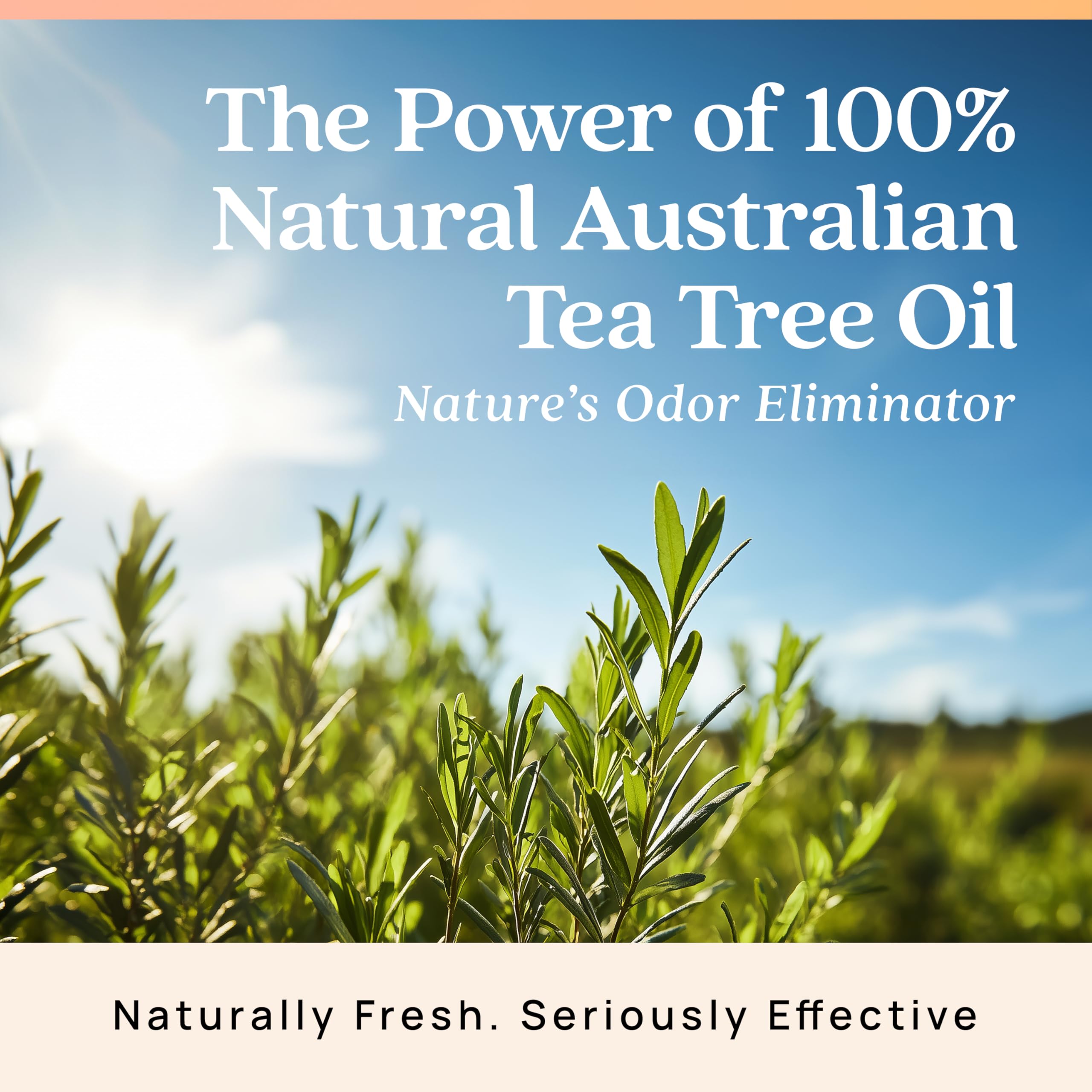 Azuna plant-based non-toxic air freshener protects spaces without harsh chemicals.