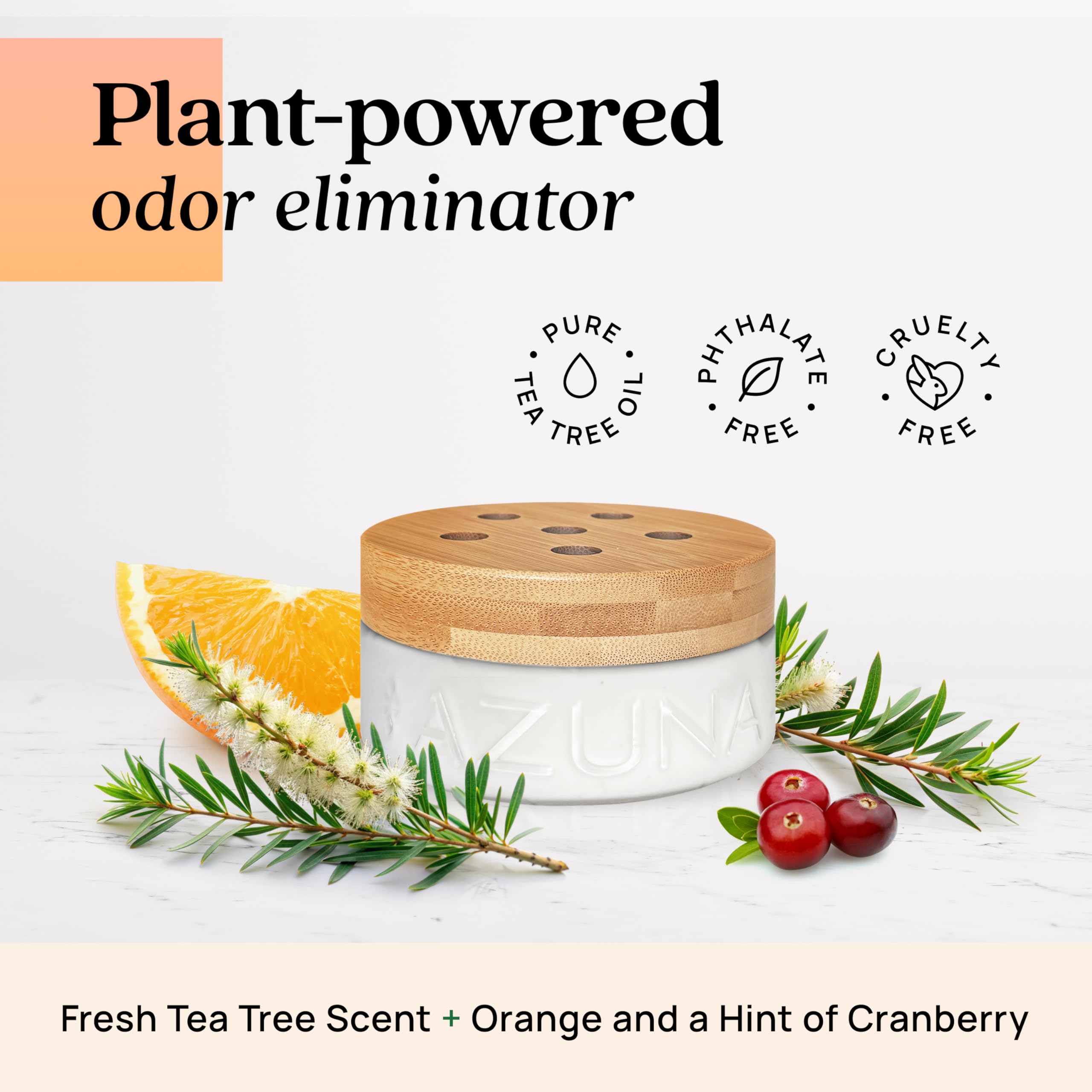 Azuna tea tree oil diffusion in room shows natural odor neutralization.