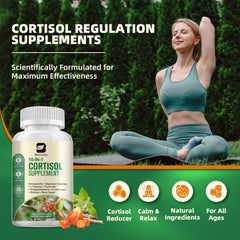 L-theanine and chamomile elements highlighted for evening calm