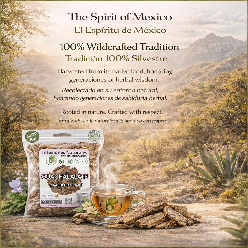 B-Experts Ritual moment with Cuachalalate tea for relaxation.
