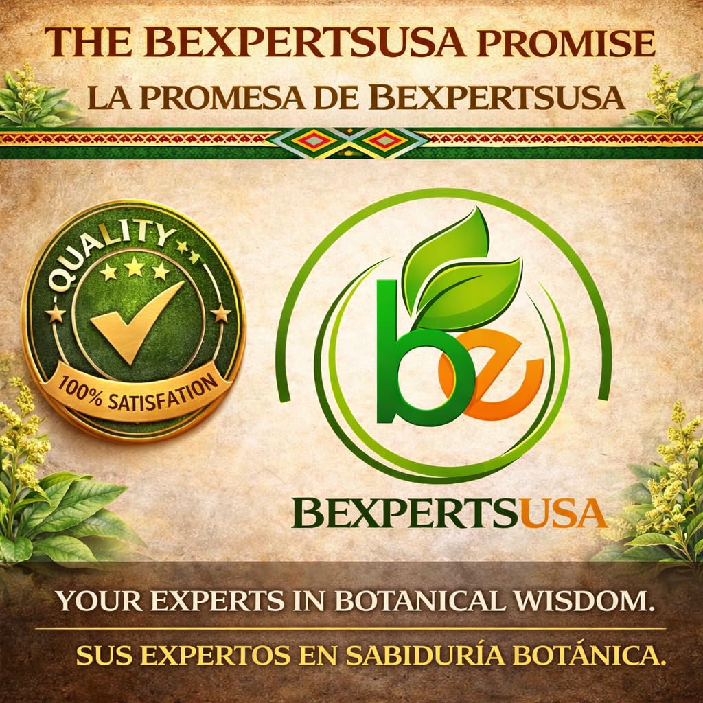 B-Experts Senna leaf tea fits daily wellness routines