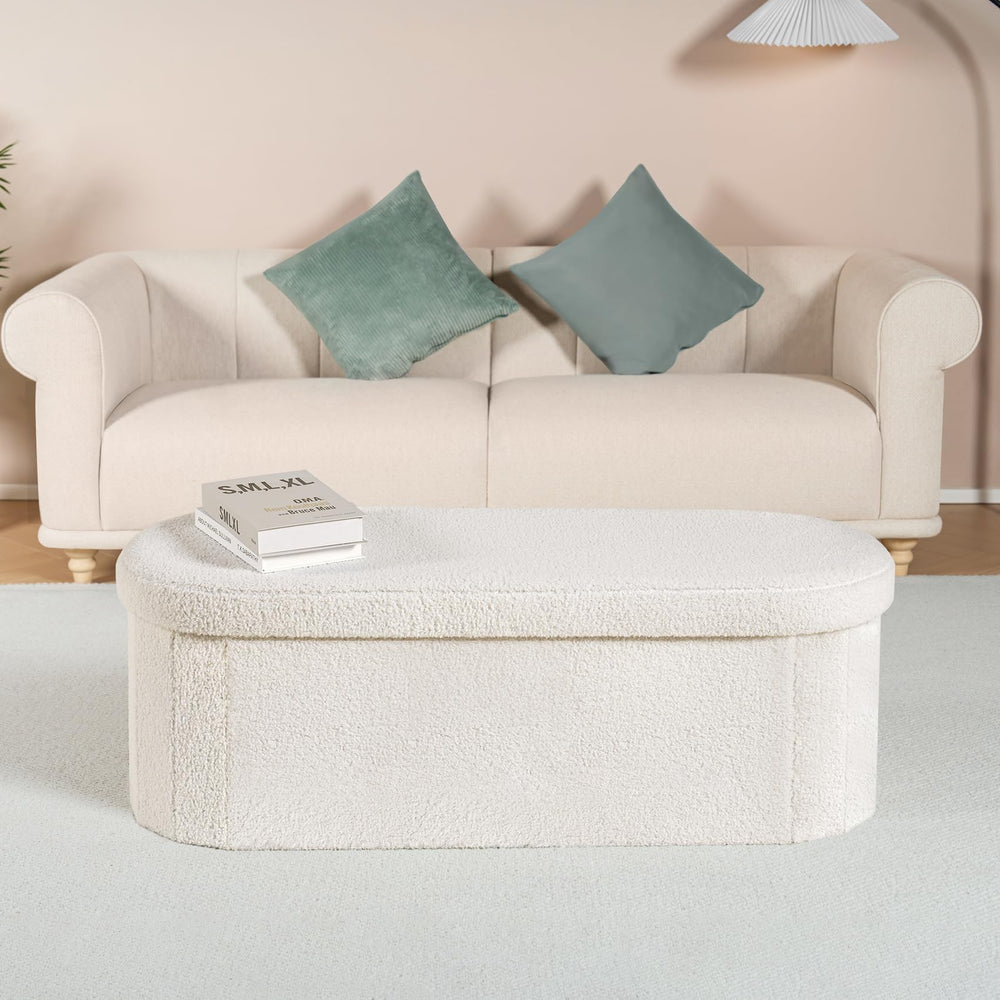 B FSOBEIIALEO bedroom storage bench for organizing clothes and blankets