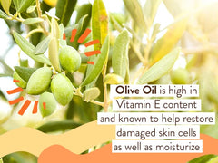 Babo Botanicals manuka oil drops highlight plant based nourishment.