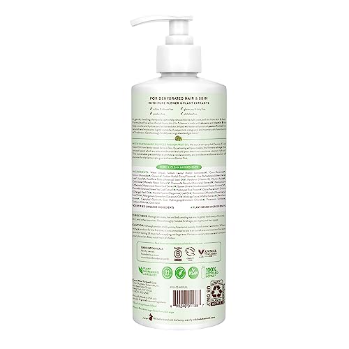 Babo Botanicals Swim & Sport citrus mint pump for easy, gentle kids bath time.