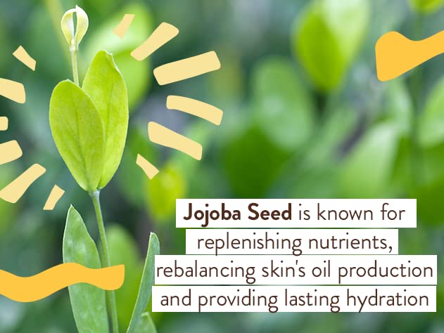 Babo Botanicals fragrance-free sunscreen label for sensitive skin.