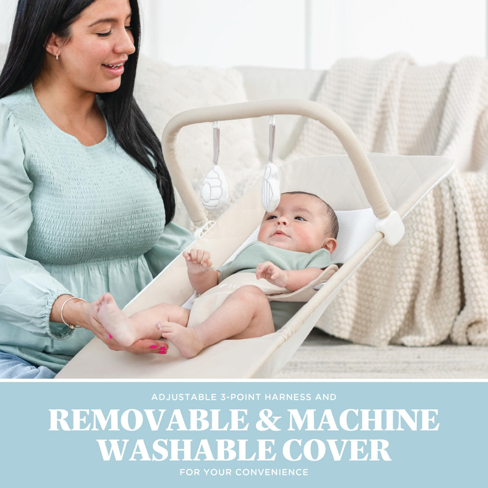 Baby Delight Alpine Deluxe Bouncer features a secure three-point harness.