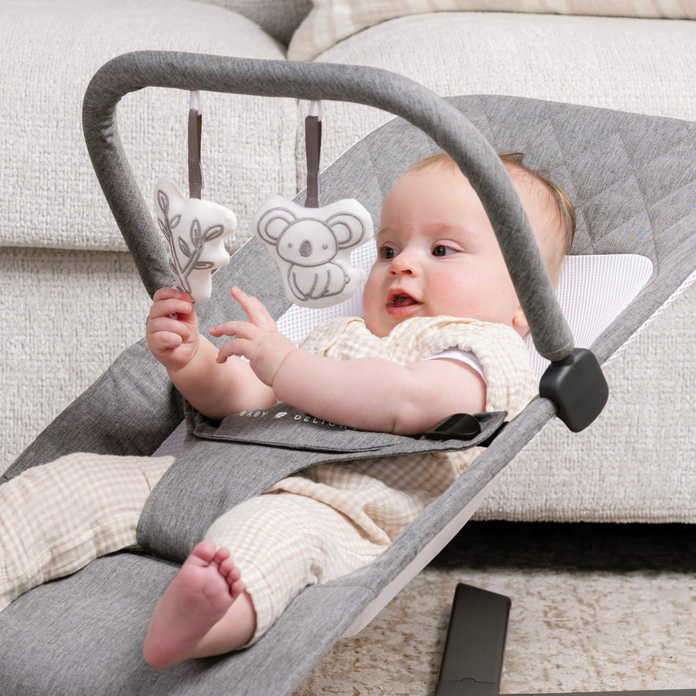 Baby Delight Alpine Deluxe Bouncer with secure three-point harness