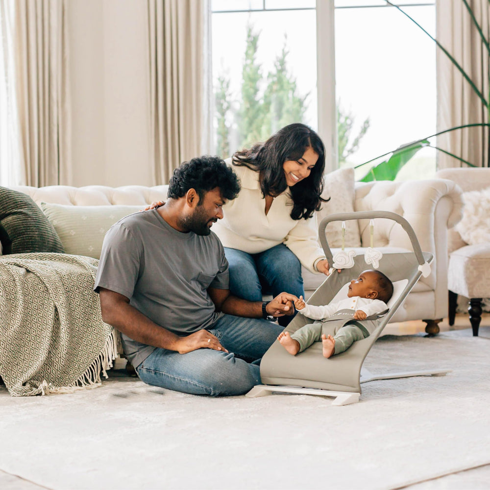 Baby Delight Alpine Deluxe Bouncer with 3-point harness for secure seating.