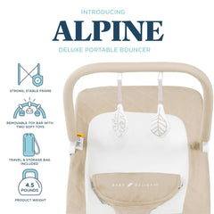 Baby Delight Alpine Deluxe Bouncer showing three recline positions for nap, play, or supervision.