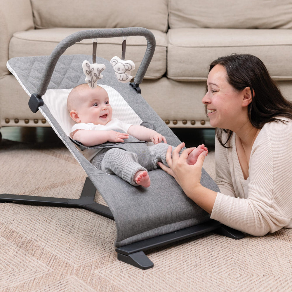 Baby Delight Alpine Deluxe Bouncer carried in the included carry bag for travel