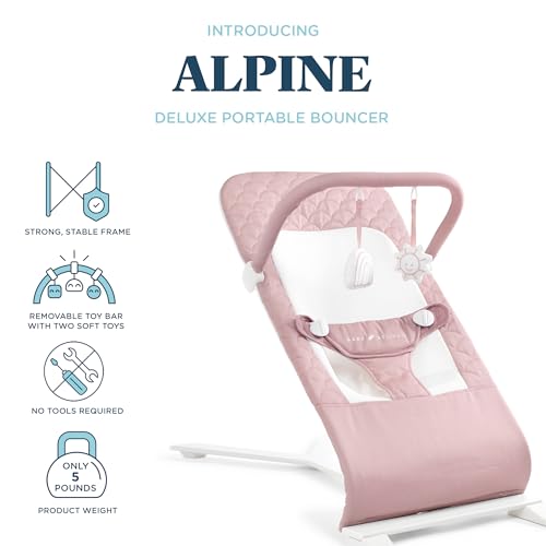 Carry bag with Baby Delight Alpine Deluxe Bouncer for on-the-go use