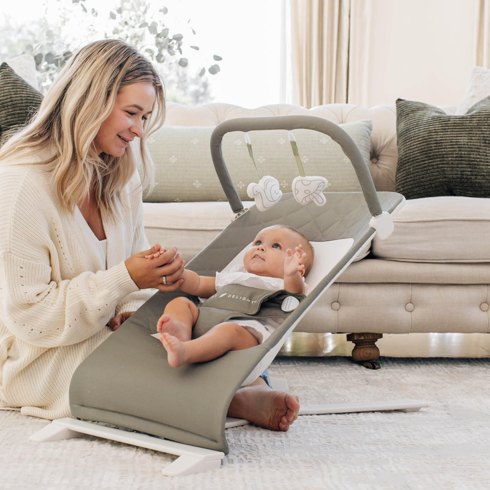Baby Delight Alpine Deluxe Bouncer removable toy bar with plush toys.