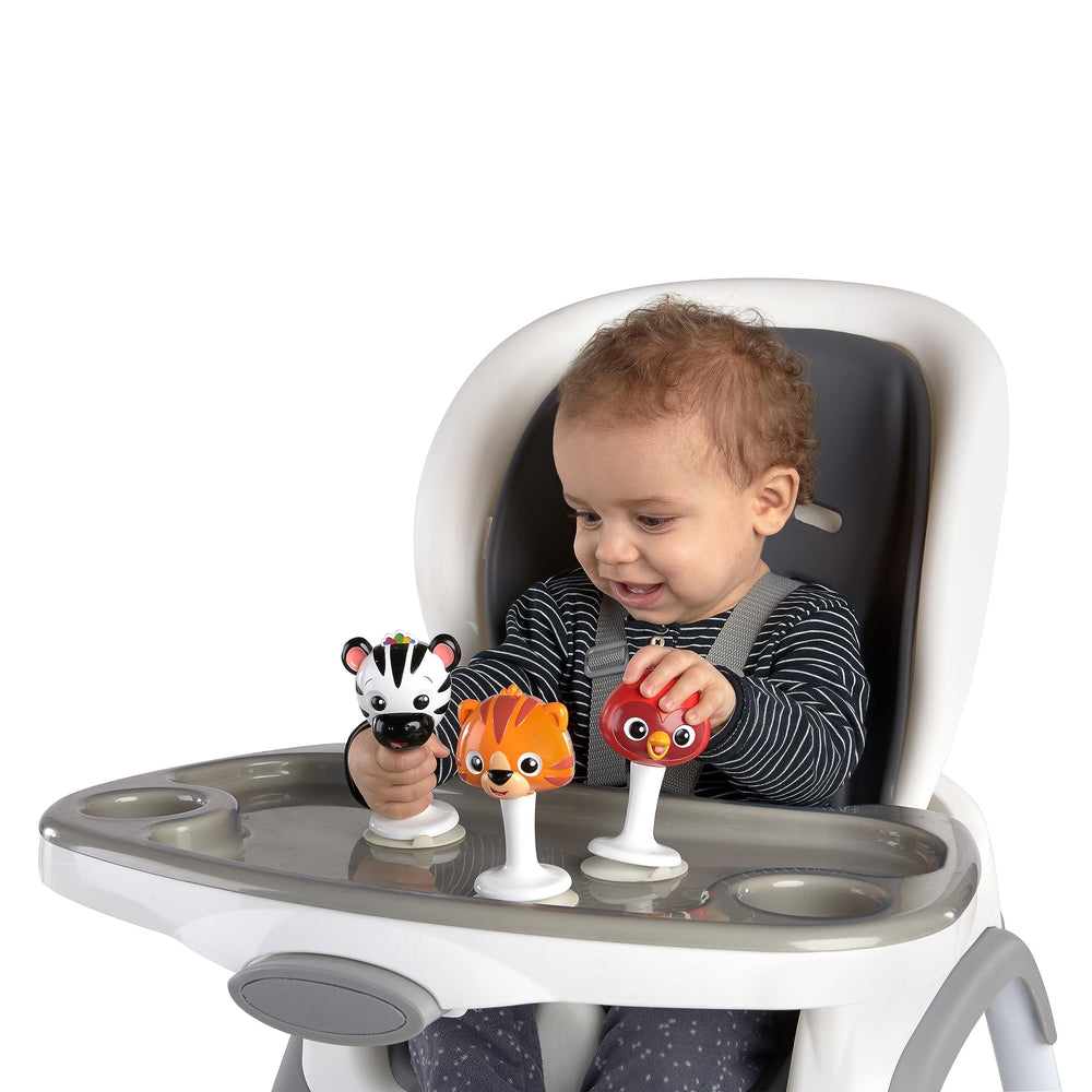 Baby Einstein multicolor musical pals offer vibrant visuals to attract attention.