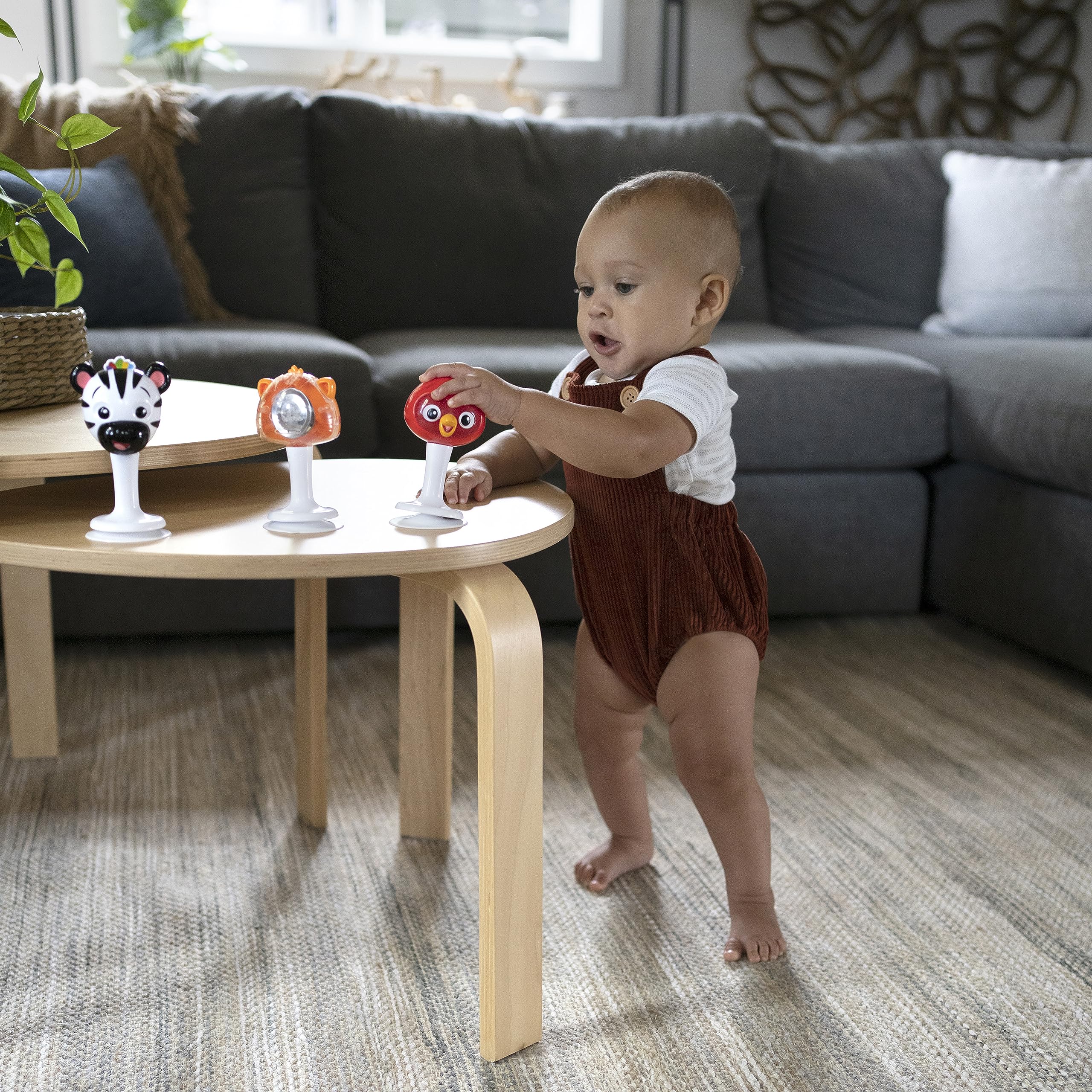 Baby Einstein transparent back panel lets baby watch the noise maker while listening.