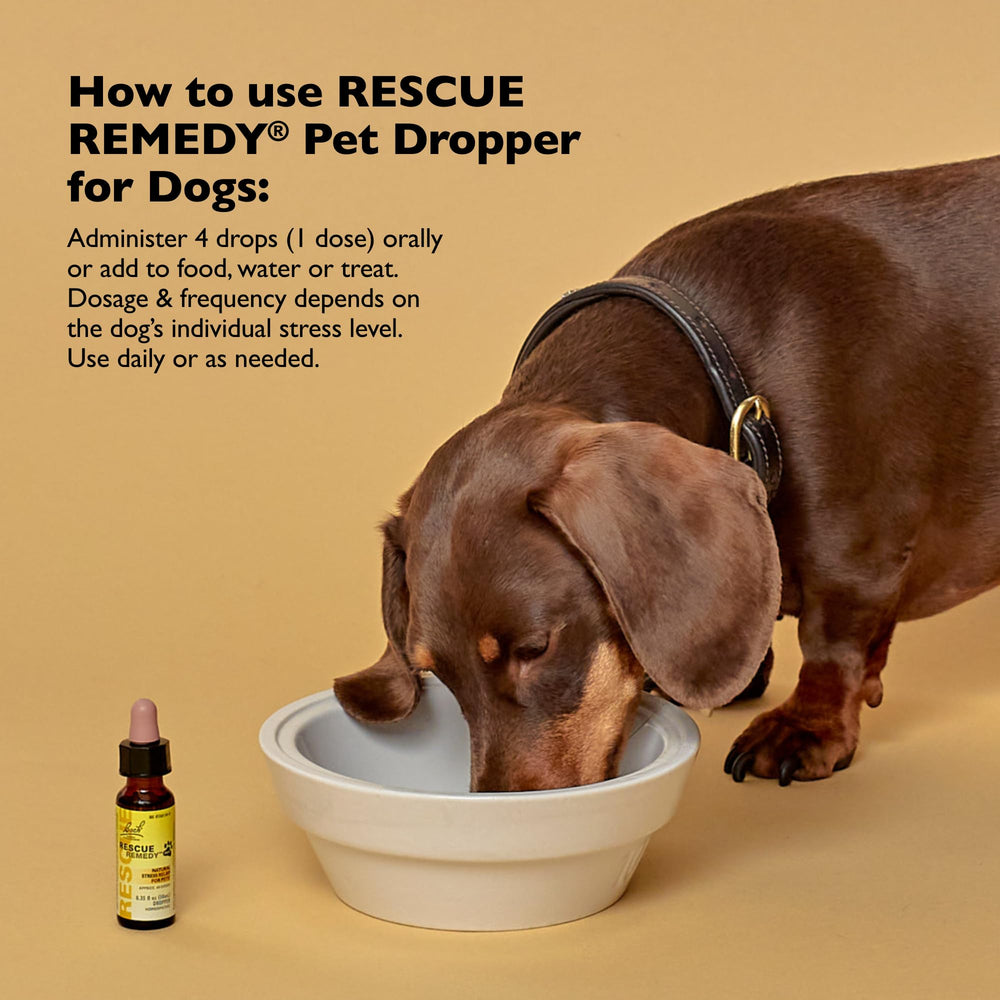 Product box and label highlight plant-based formula of Bach Rescue Remedy Pet Dropper.