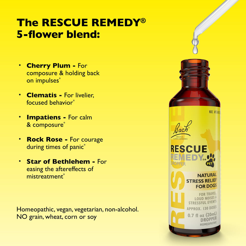Dog resting calmly after using Bach Rescue Remedy Pet Dropper.