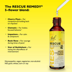 Dog resting calmly after using Bach Rescue Remedy Pet Dropper.