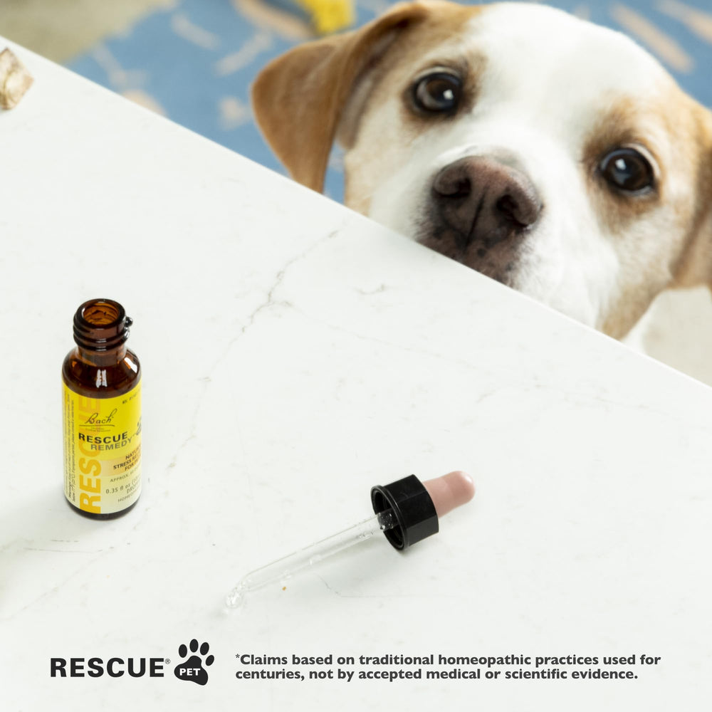 Administering Bach Rescue Remedy Pet Dropper drops to food or water.