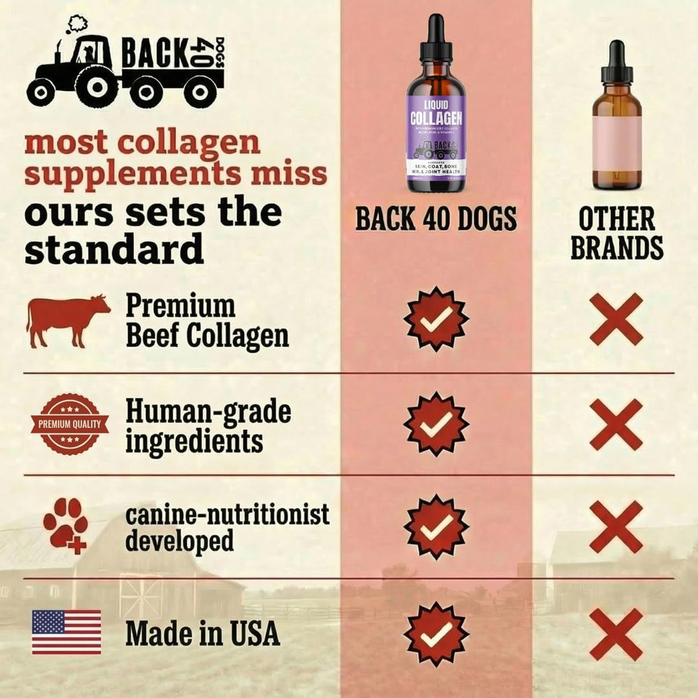 Back 40 Dogs coat shine after daily liquid collagen dose