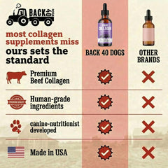 Back 40 Dogs coat shine after daily liquid collagen dose