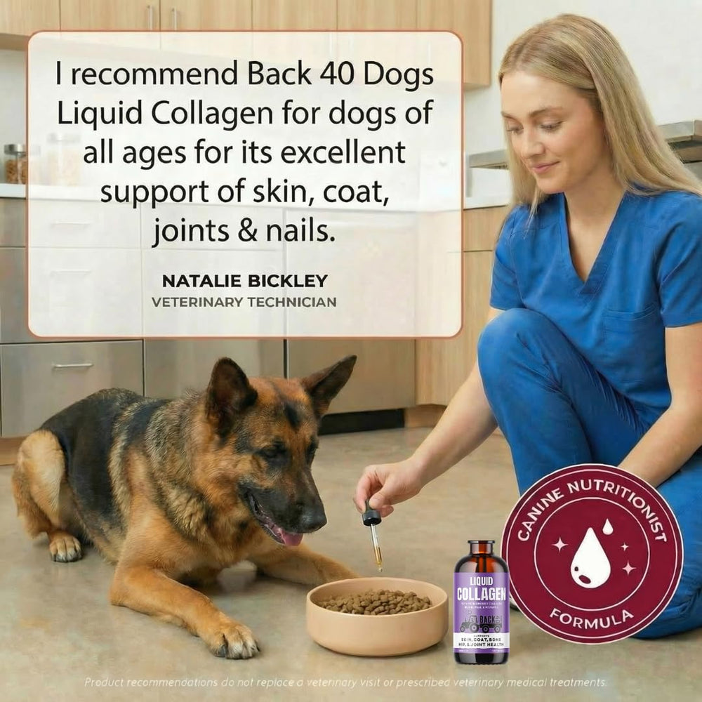Back 40 Dogs joints and mobility boost from collagen drops