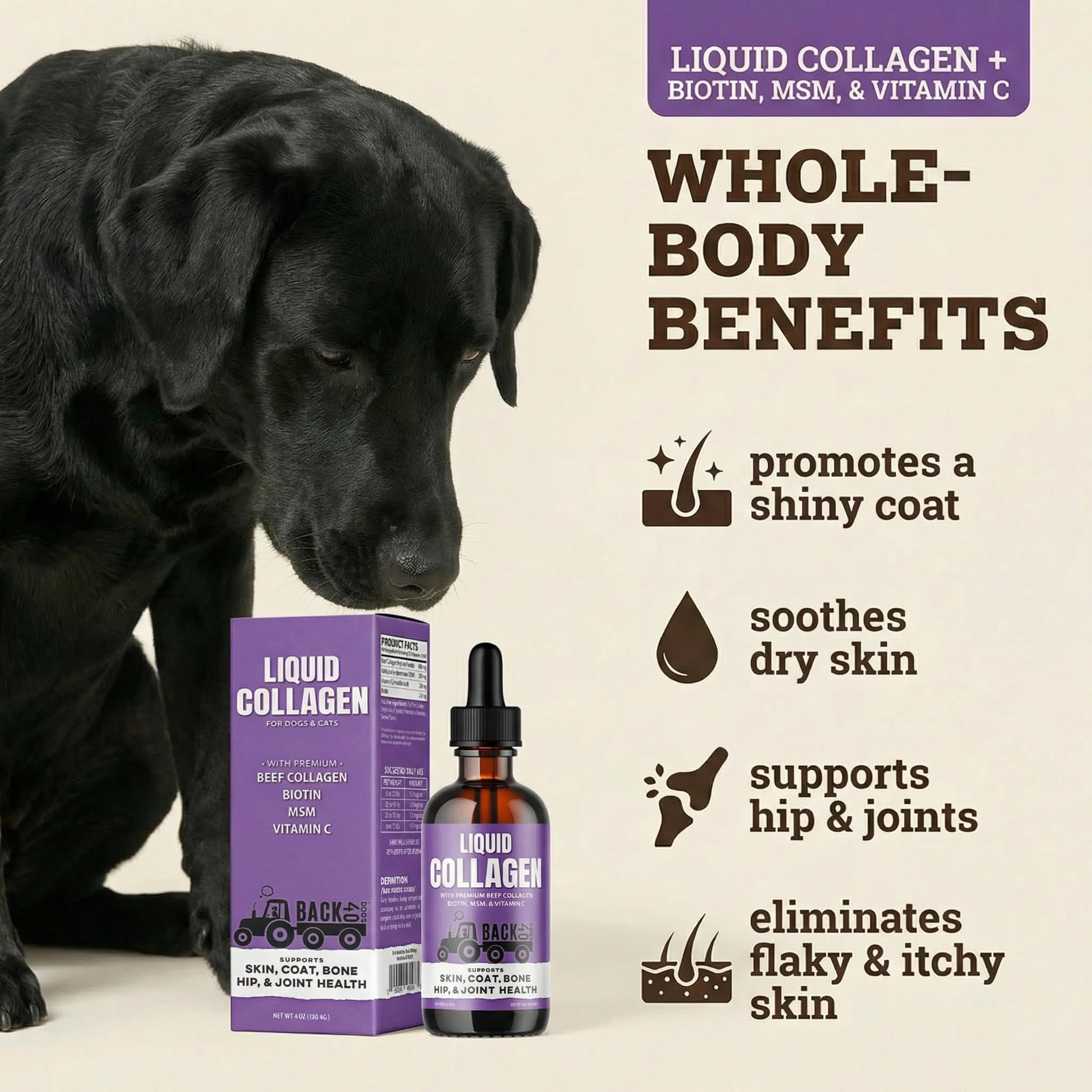 Back 40 Dogs bottle label shows premium ingredients for skin health