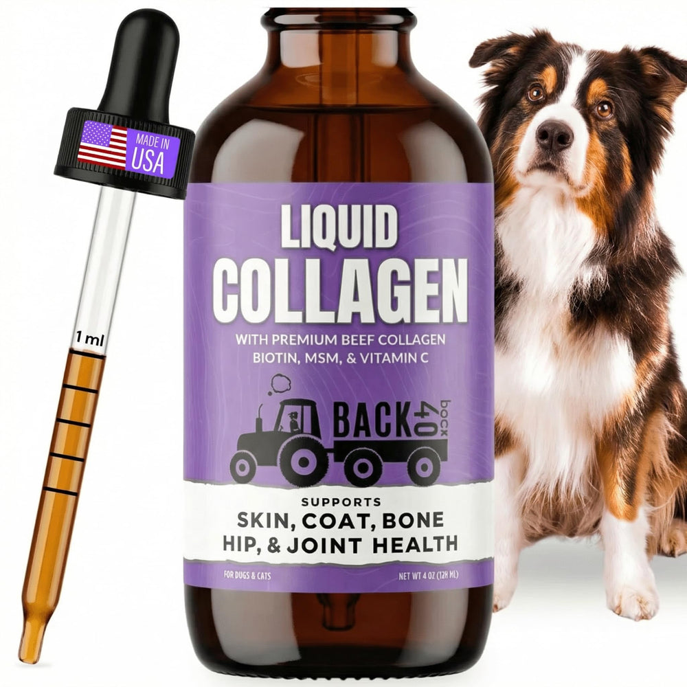 Back 40 Dogs USA-made label indicating quality control