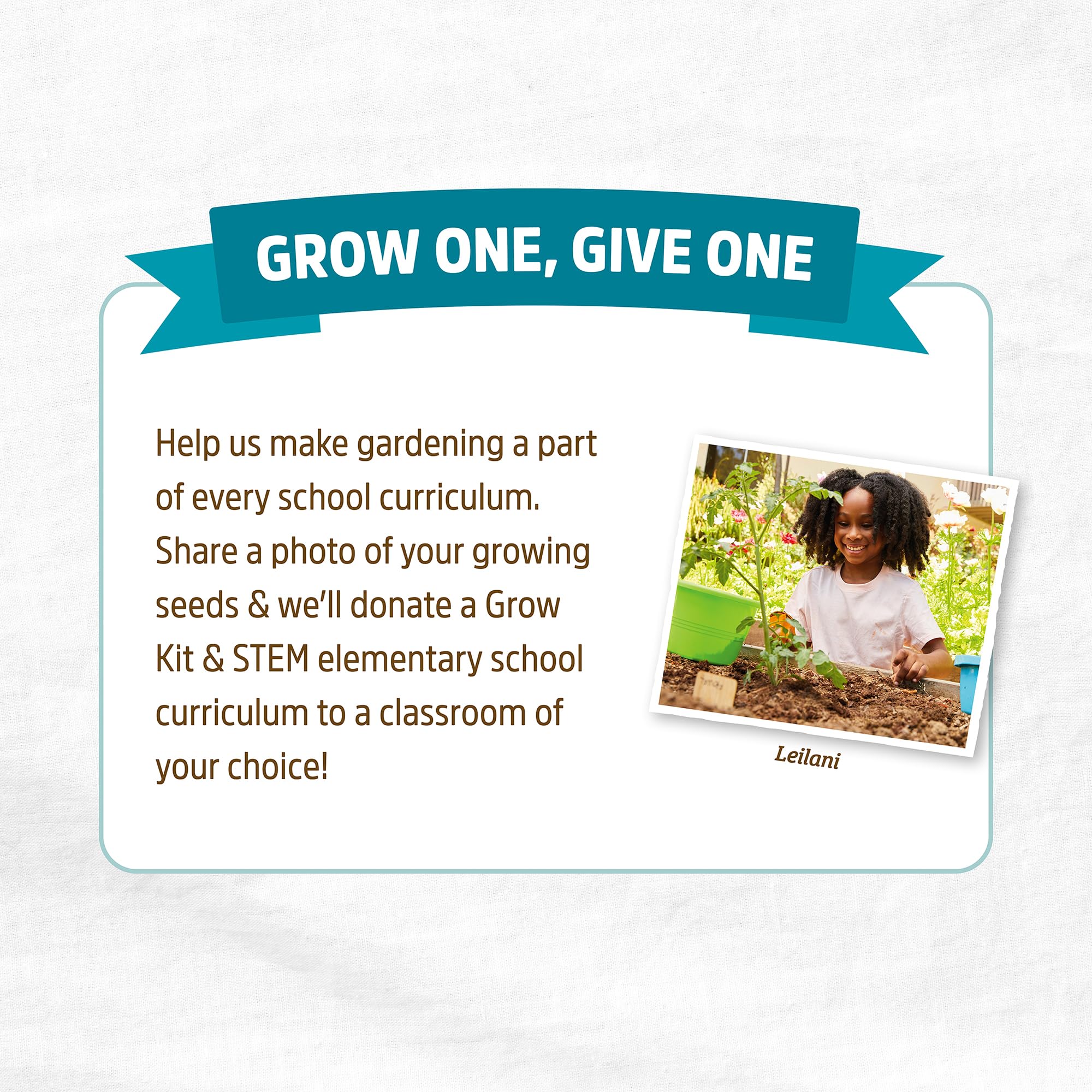 Back to the Roots indoor/outdoor planting seeds support year-round growing versatility.