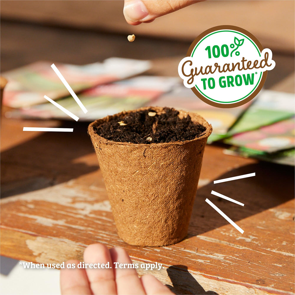 Back to the Roots organic and non-GMO seeds ensure clean, reliable germination.