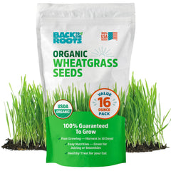 Back to the Roots wheatgrass seeds bag—organic and easy to grow for fresh greens.