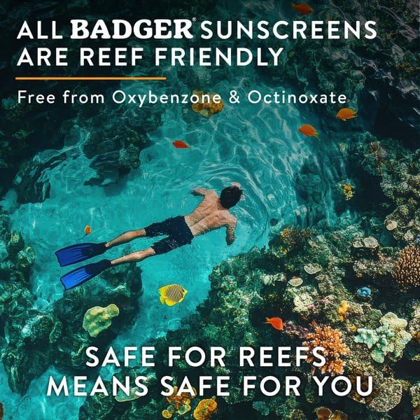 Badger SPF 50 Daily Mineral Sunscreen organic ingredients highlighted