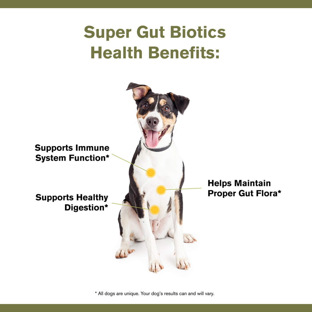 Badlands Ranch Super Gut Biotics flax and pumpkin seed powder texture for digestion