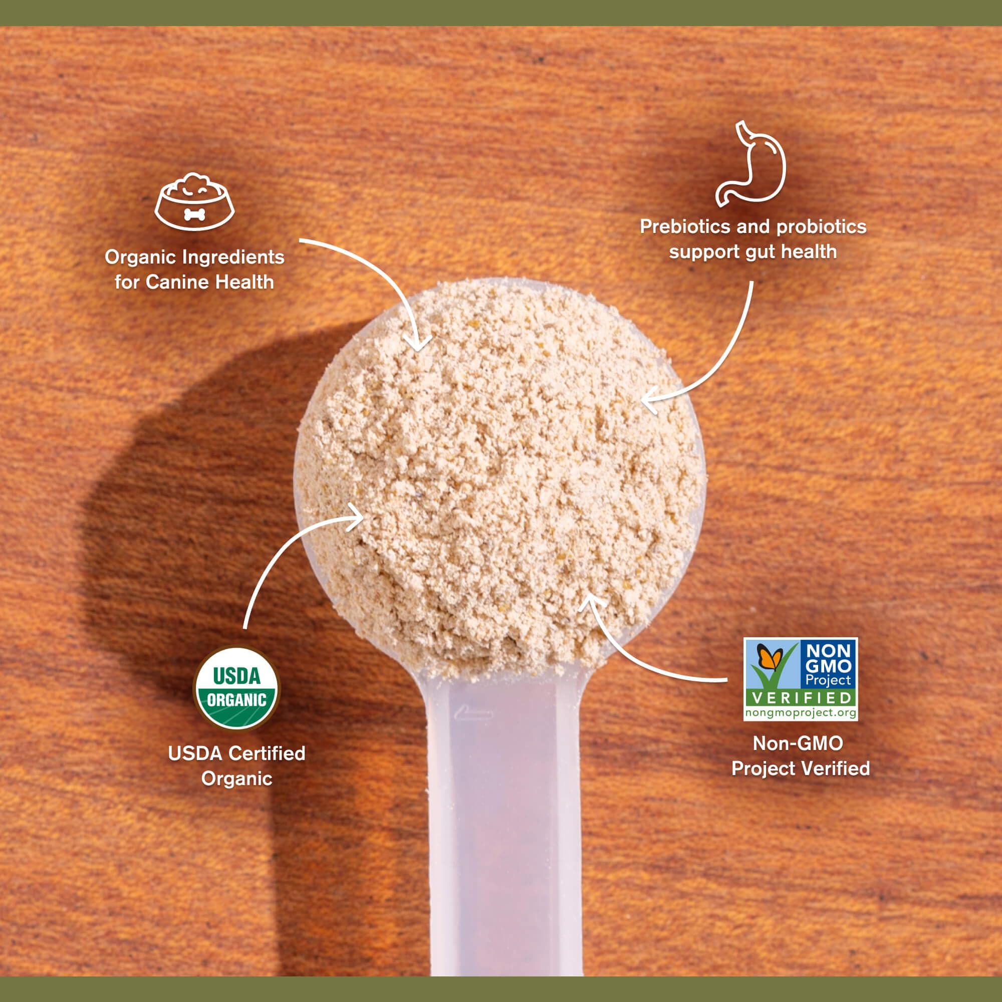 Badlands Ranch Super Gut Biotics organic mushroom blend highlighting immune support