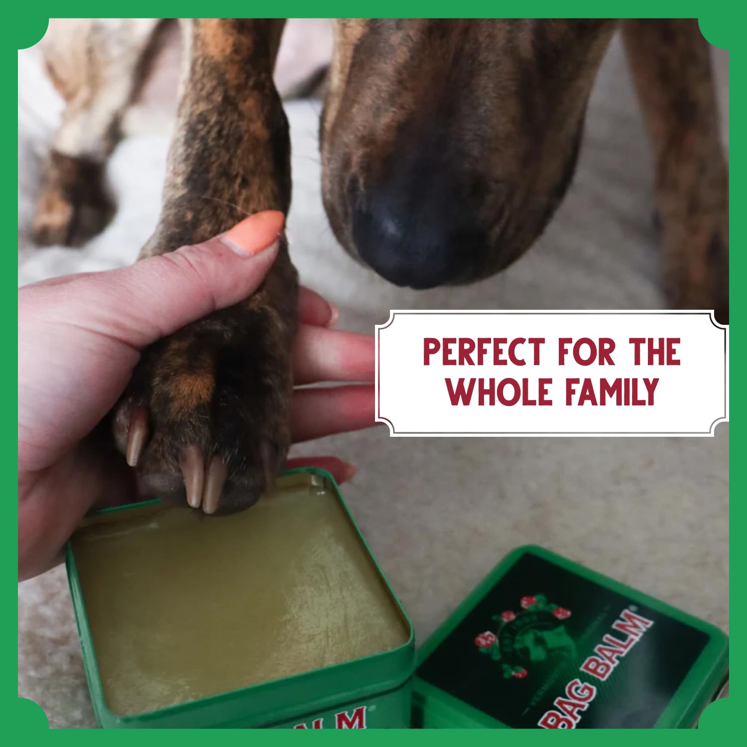 Bag Balm pet care routine in use suggests comfort and skin protection.