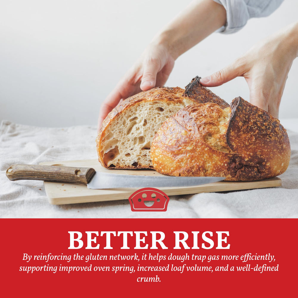 Close-up of Bakers Club Vital Wheat Gluten being measured to enrich flours