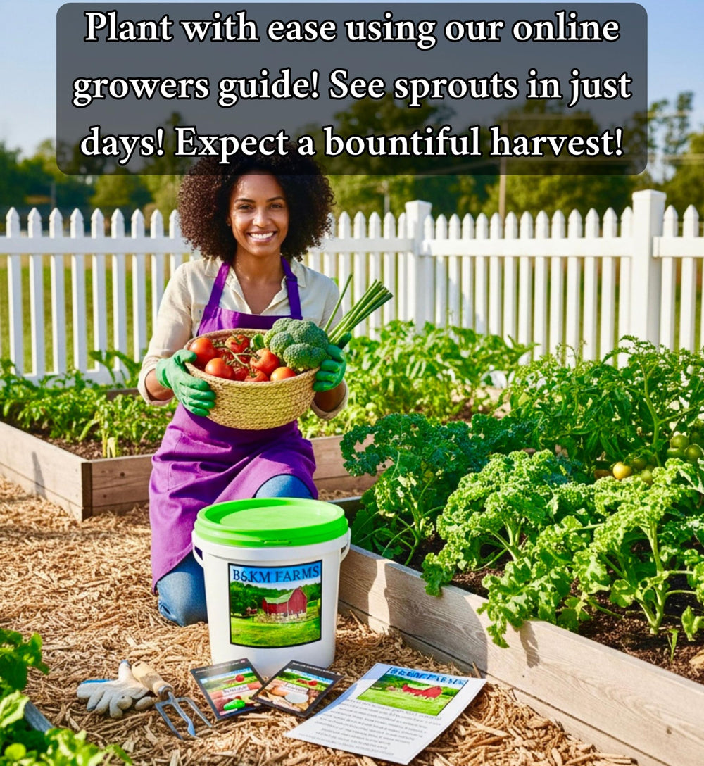 B&KM Farms diverse-season garden supports year-round harvest potential.