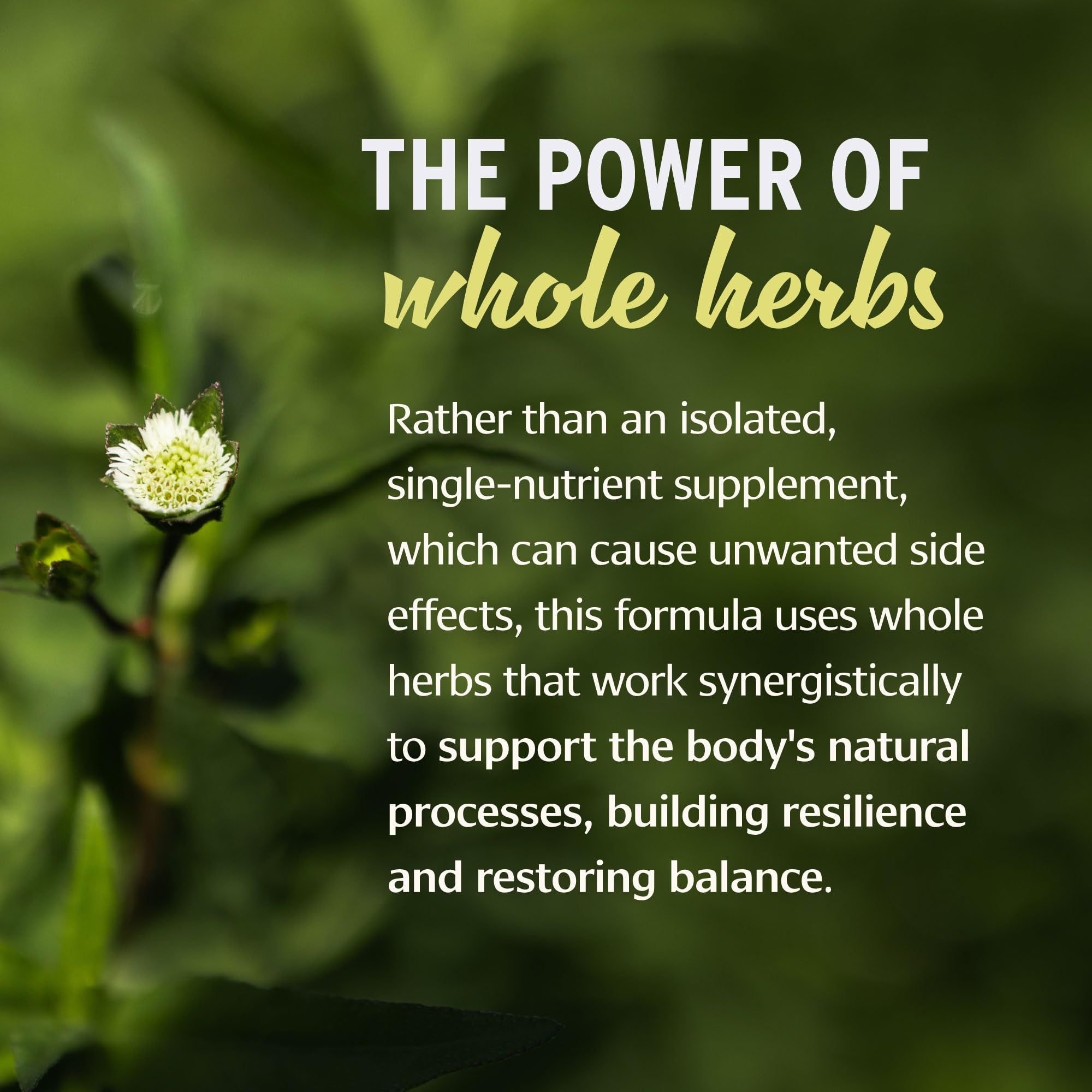 Banyan Botanicals amla brahmi herbs mix for internal balance.