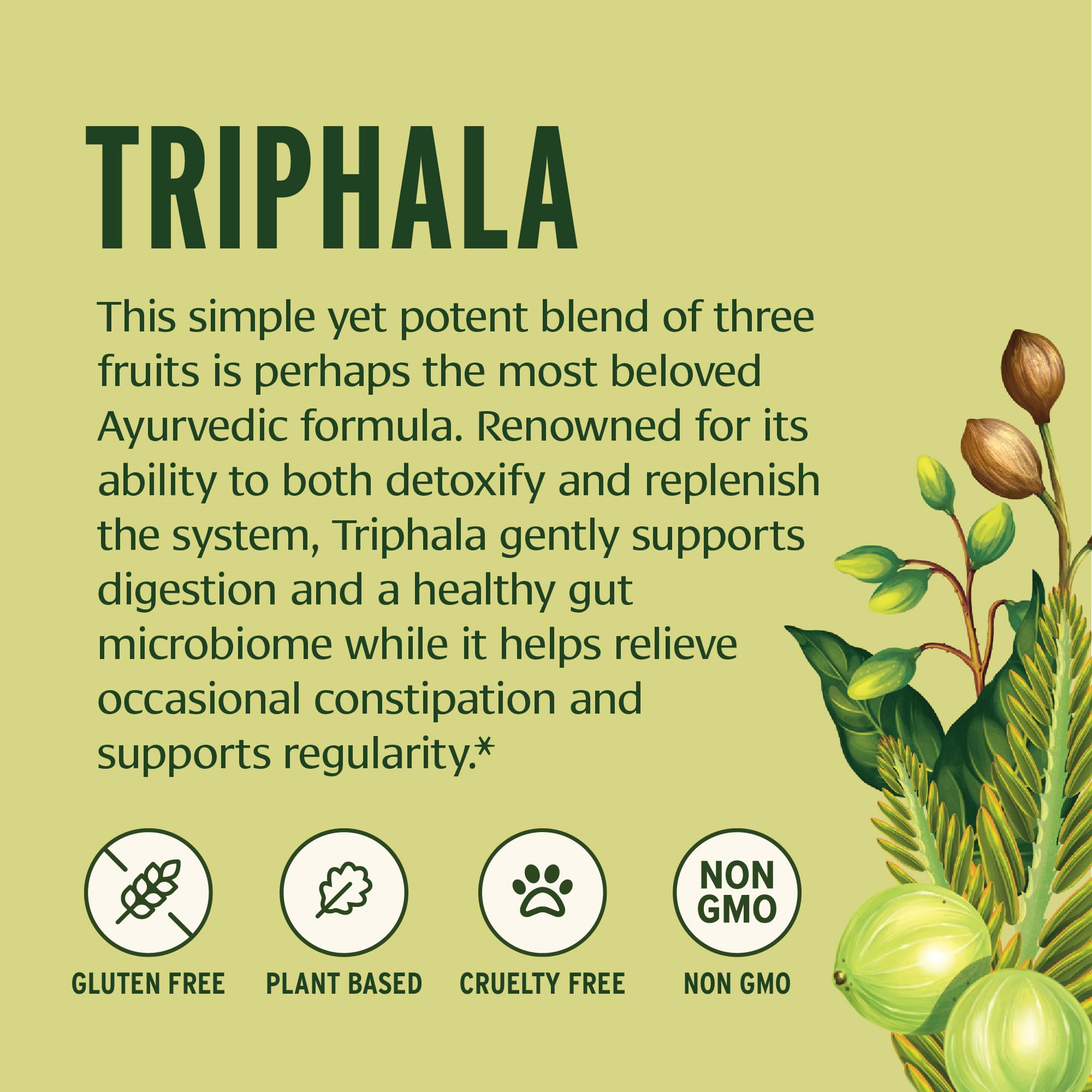 Banyan Botanicals Triphala powder on a spoon ready to mix